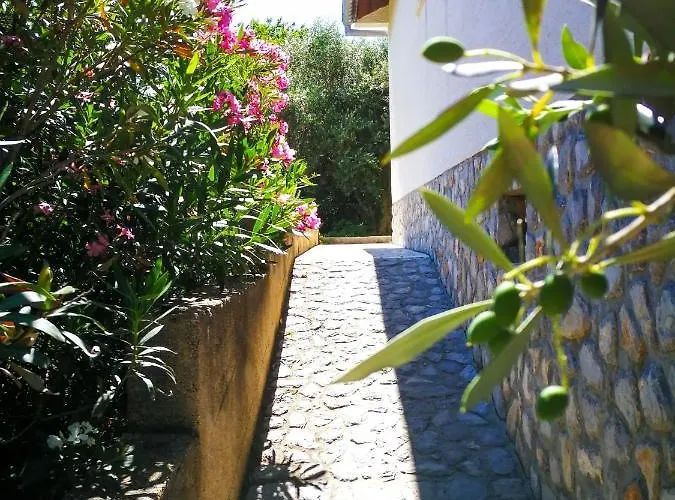 Ecohouse Oliveglia Šilo