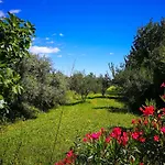 بيت خشبي Ecohouse Oliveglia