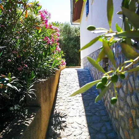 Ecohouse Oliveglia Šilo