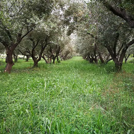 Ecohouse Oliveglia Lodge