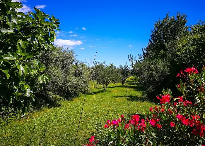 بيت خشبي Ecohouse Oliveglia