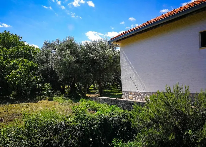 بيت خشبي Ecohouse Oliveglia *