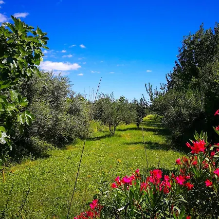 Lodge Ecohouse Oliveglia