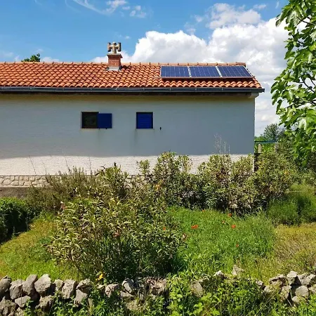 Ecohouse Oliveglia Silo (Krk)